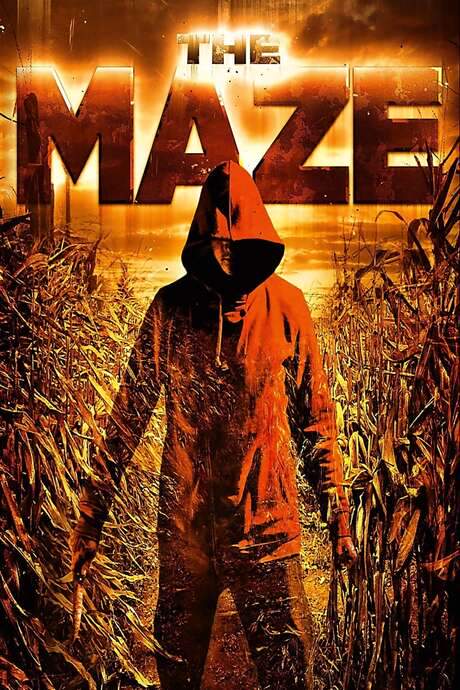 The Maze